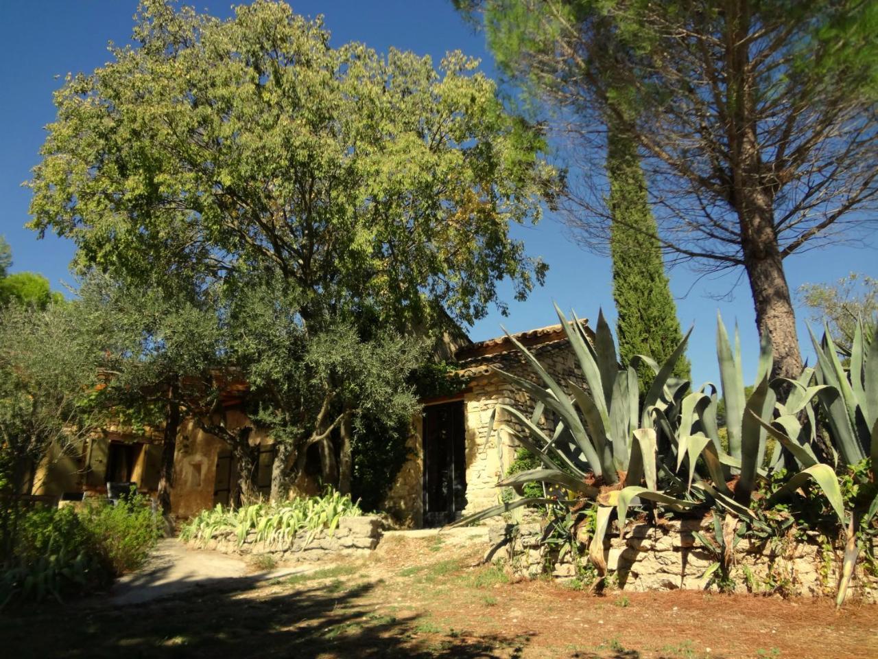 Les Olives Uzès
